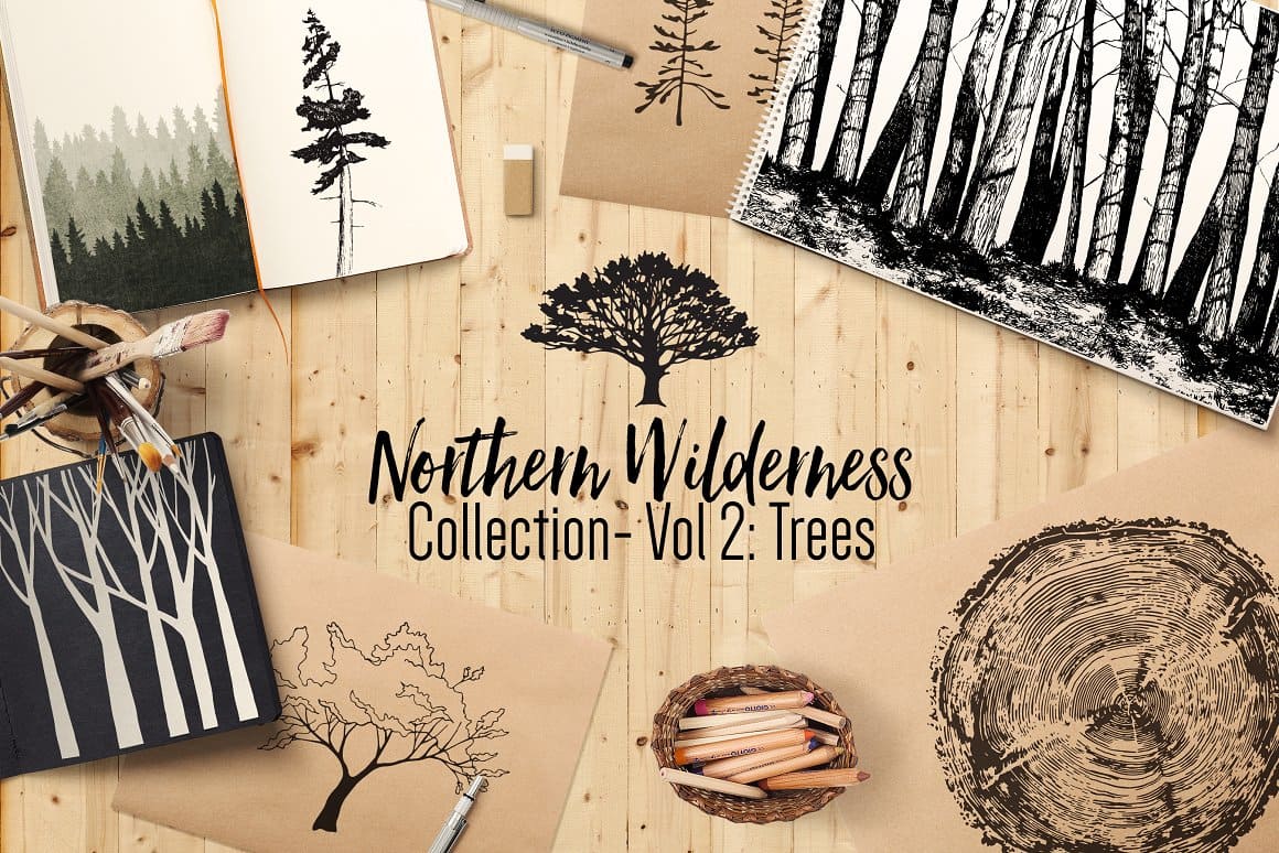 Northern Wilderness collection.