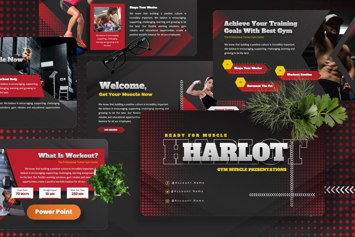 Gym "Harlot", a presentation for training muscles.