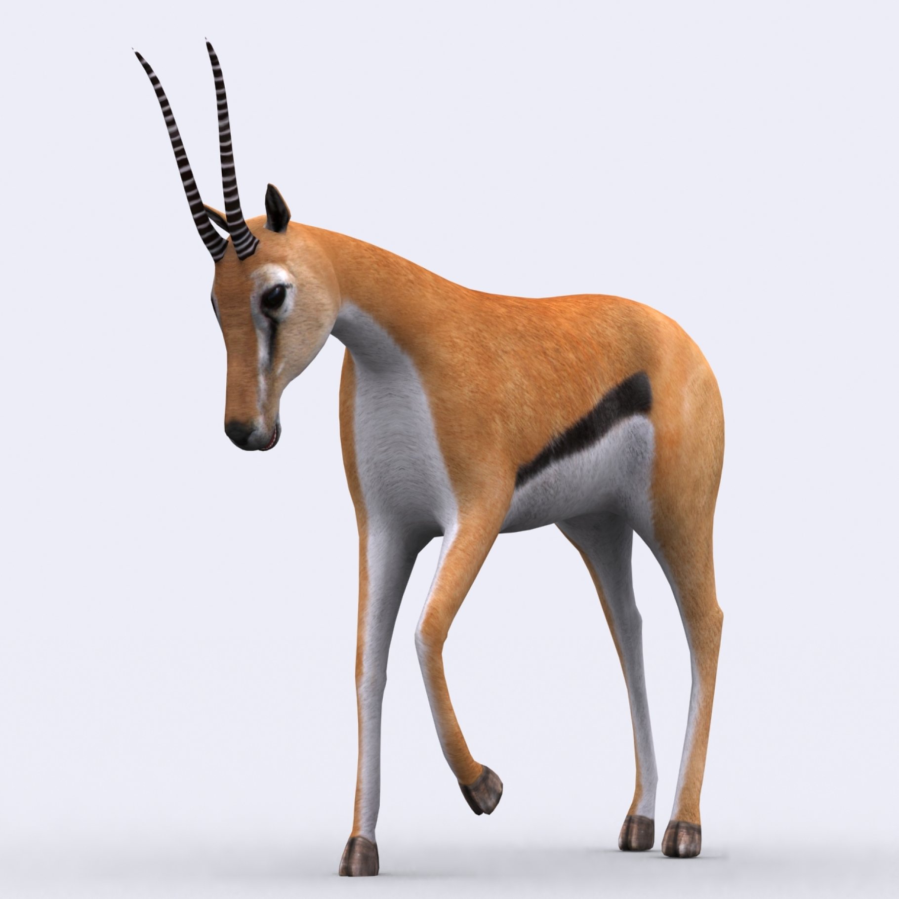 3DRT - Safari Animals - Gazelle – MasterBundles