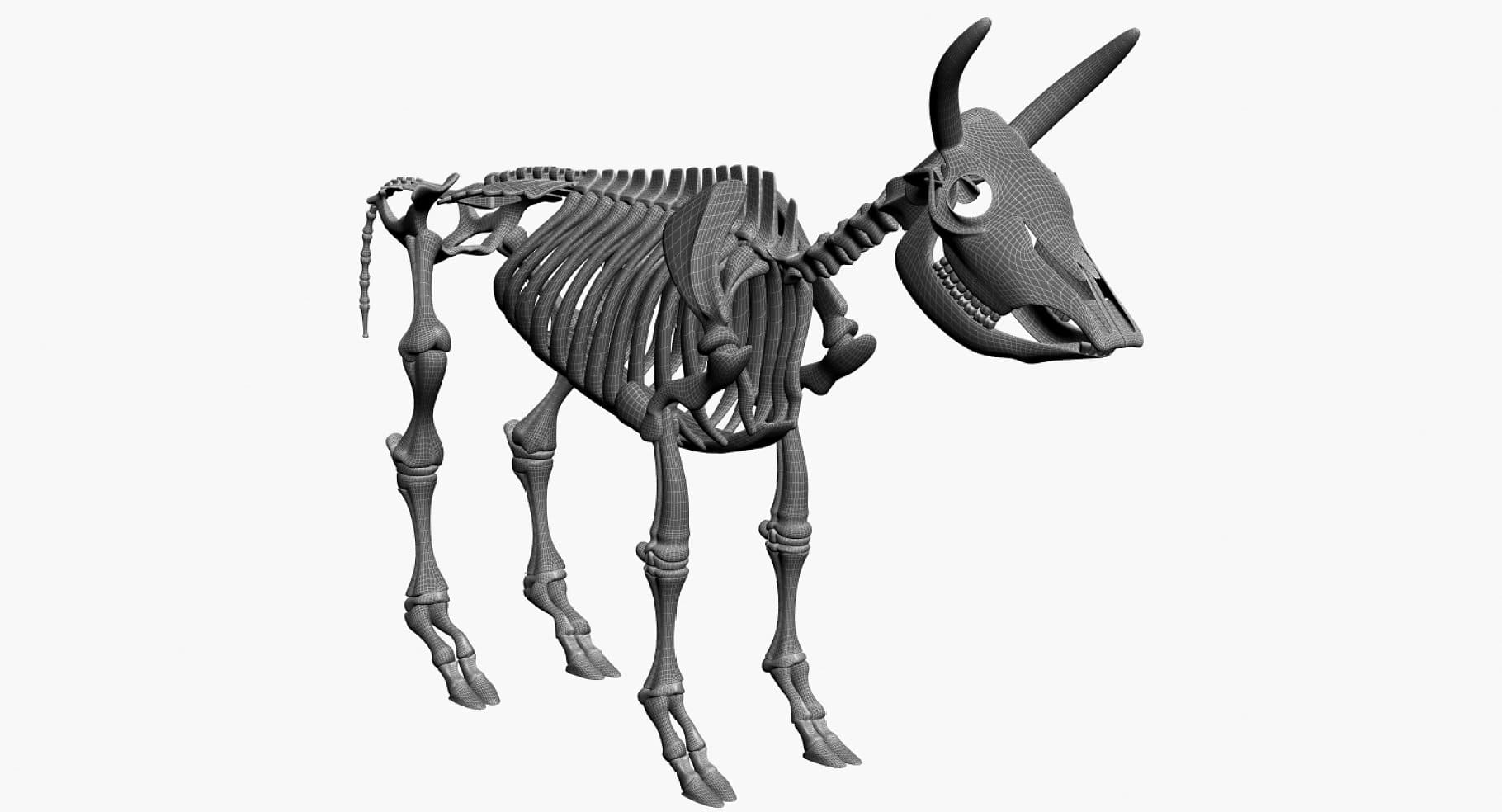 Image of a gray 3D model of cattle.