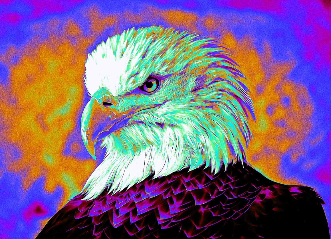 Eagle image with filter.