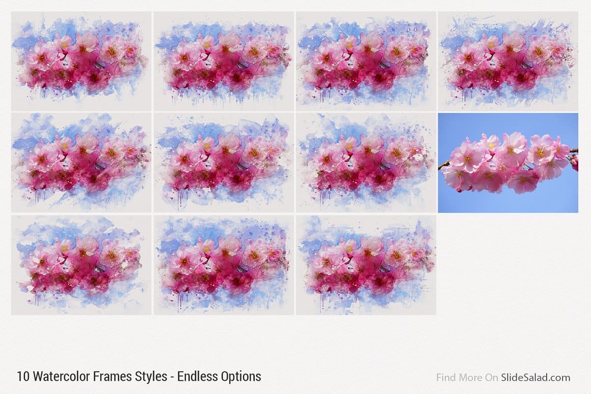 10 watercolor images of a twig with pink flowers.