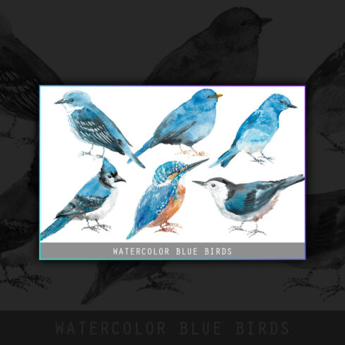 Images with watercolor blue birds.