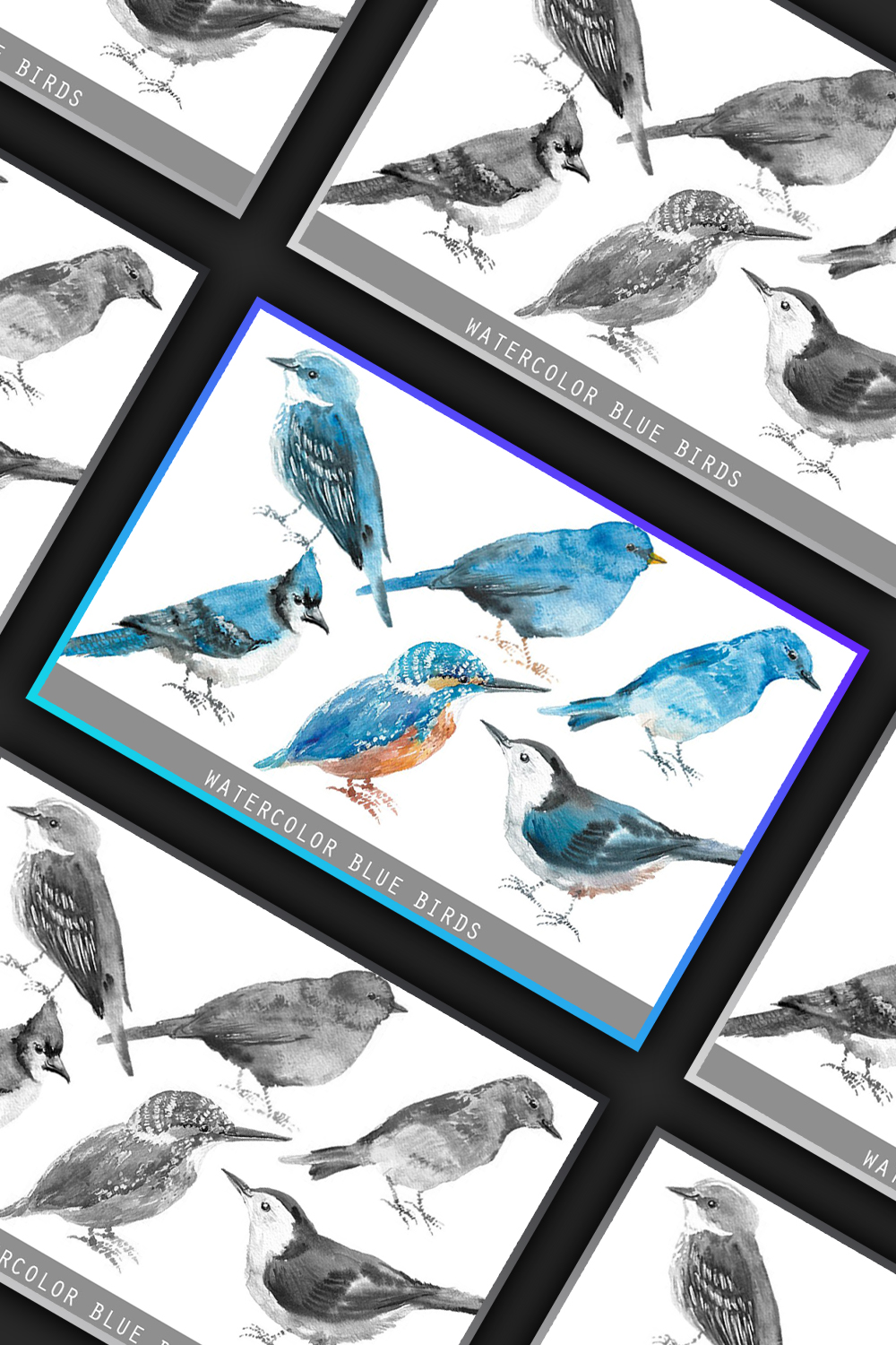 Illustsrations watercolor blue birds of pinterest.