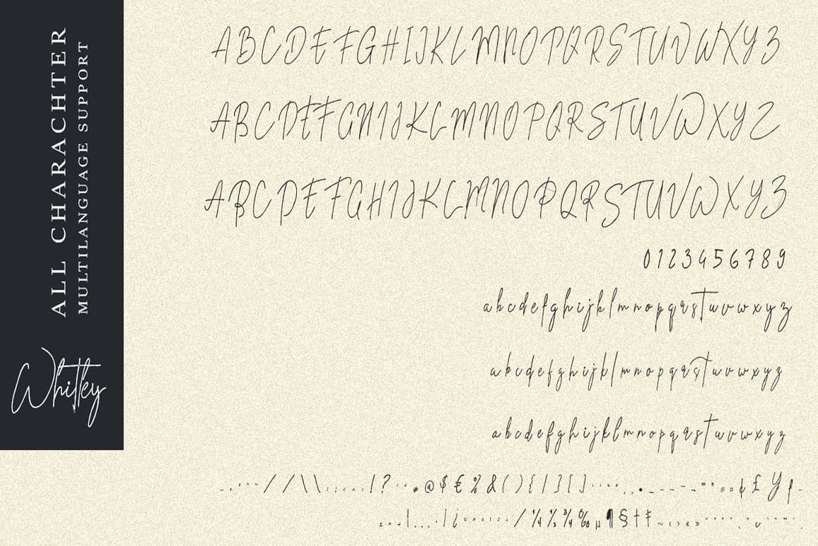All character Multilanguage support written in Whitley font.