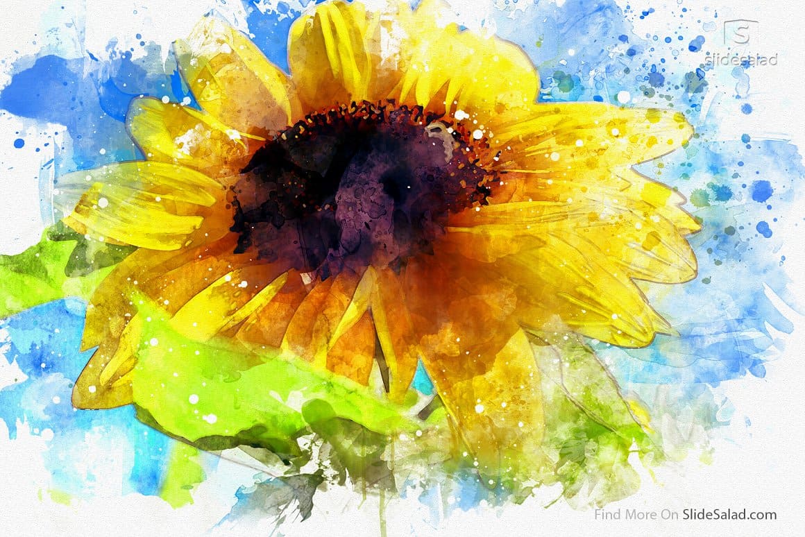 Watercolor image of a sunflower.
