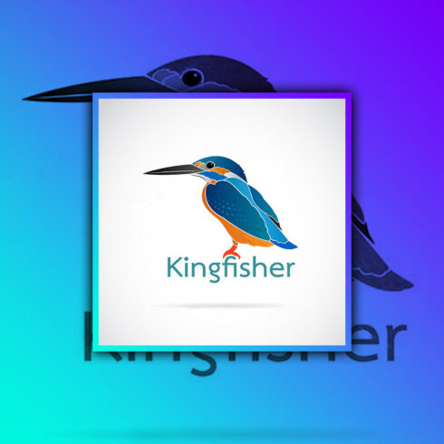 Images with vector of common kingfisher bird.