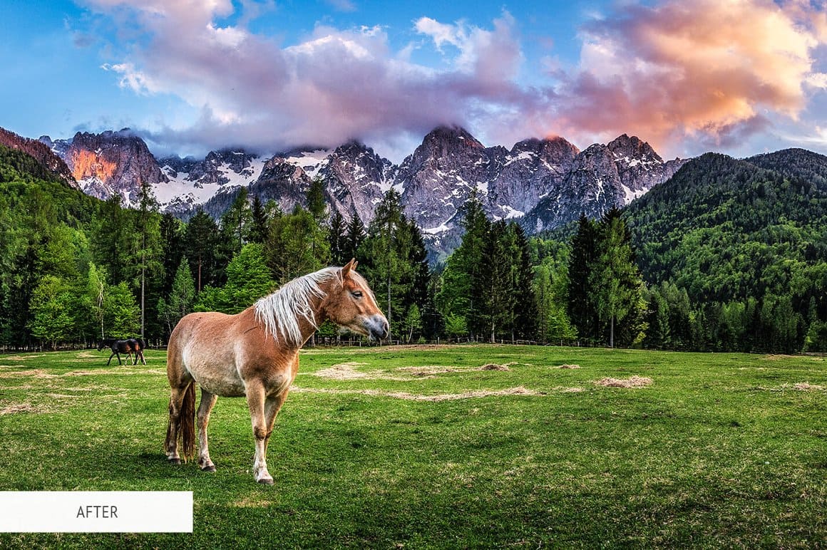 A picturesque image of nature where the sky, mountains, forest, and a field where horses are walking are combined.