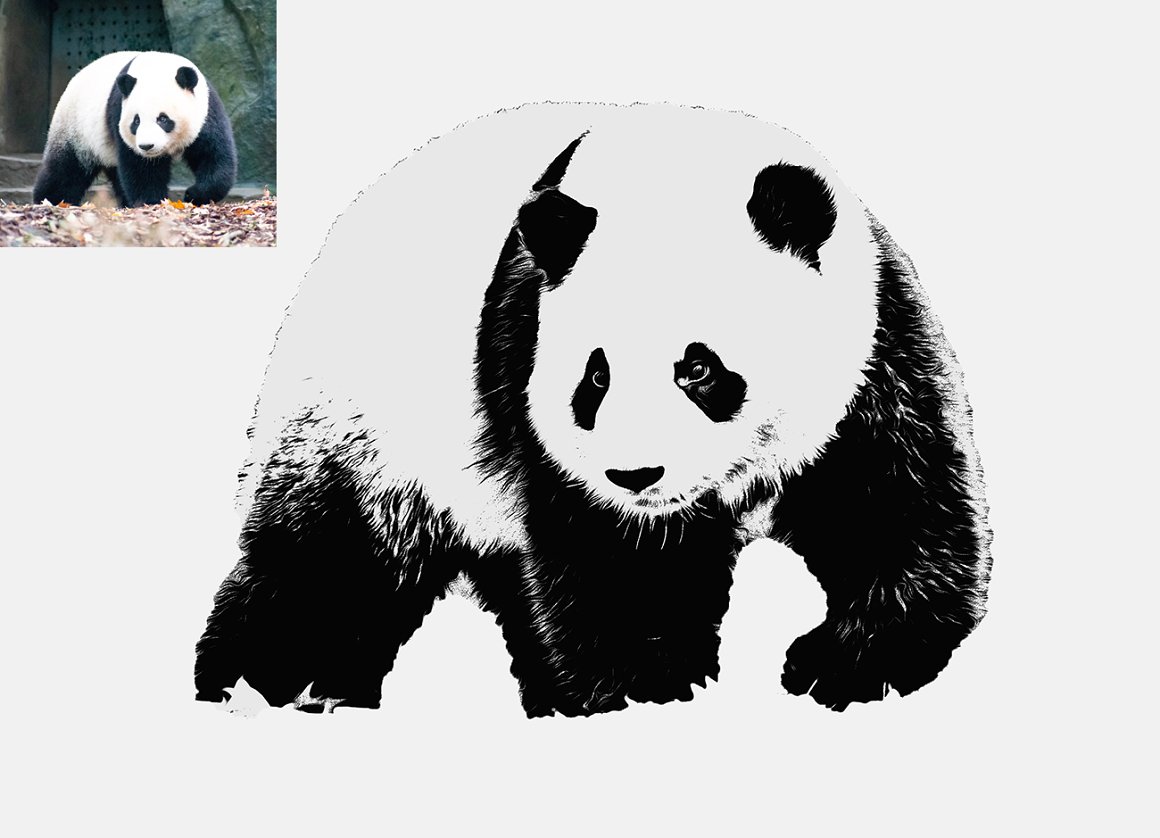 Panda images and more.