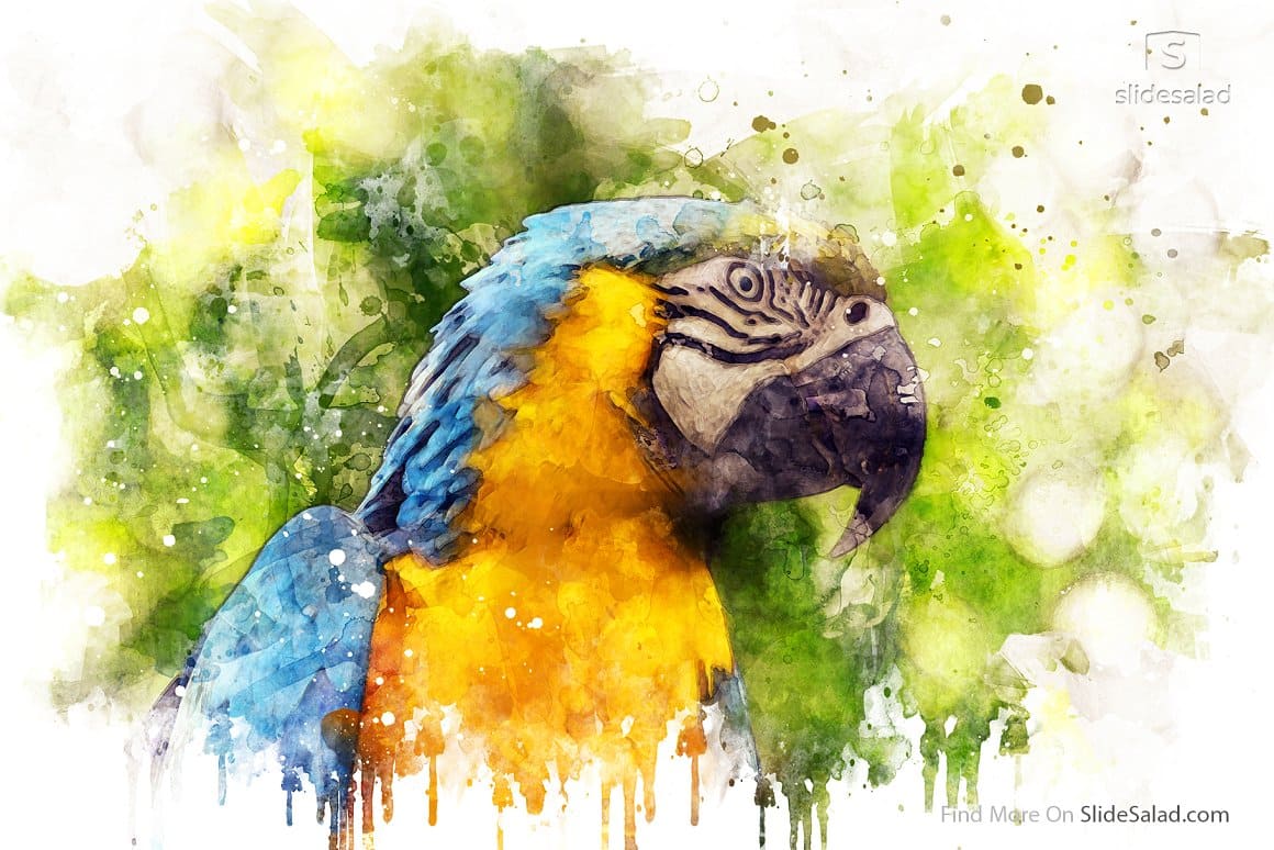 Watercolor image of a blue and yellow parrot.