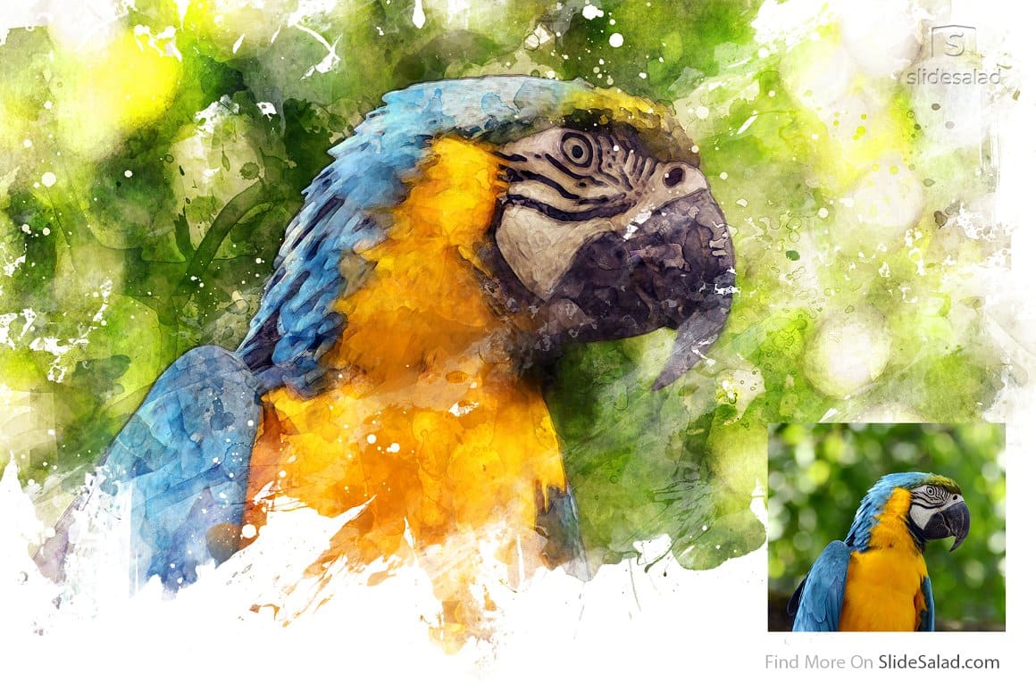 Realistic watercolor illustration of a large parrot.