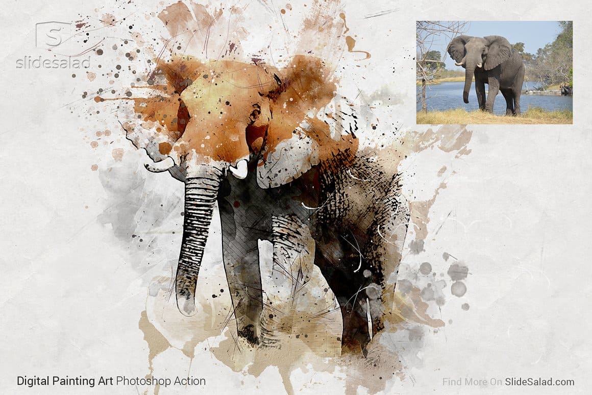 The photo of the elephant is reproduced with watercolor paints.