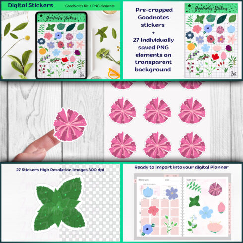 Images preview botanical digital stickers png and goodnotes file.