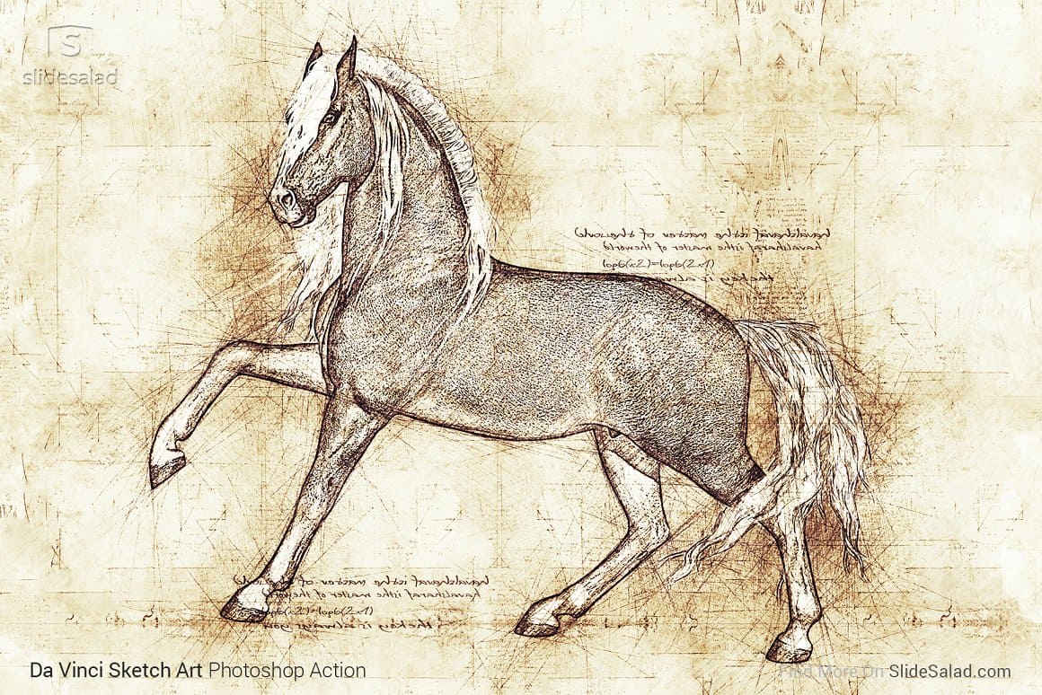 Image of a horse with a white mane and tail using Da Vinci Sketch Art Photoshop Action.
