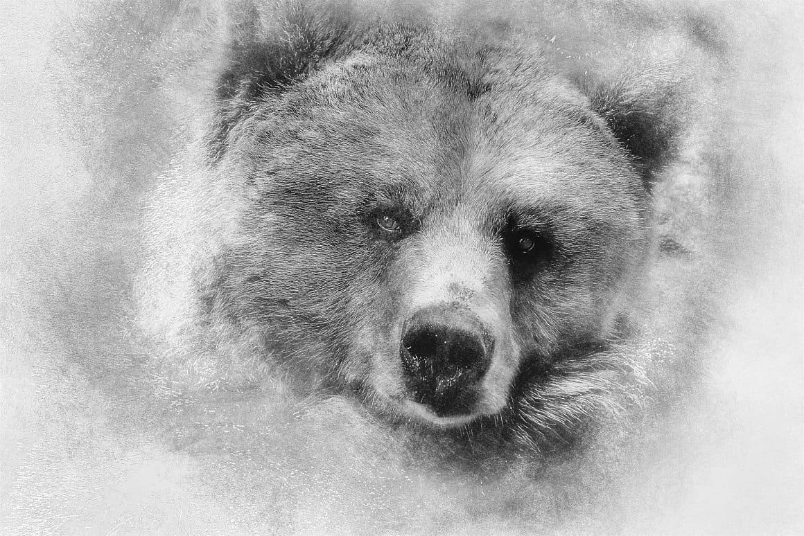 The bear's face is drawn with pencils.