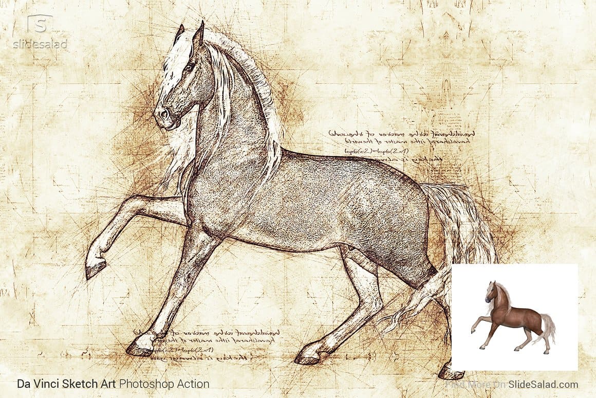 Photo and drawing of a horse using Da Vinci Sketch Art Photoshop Action.