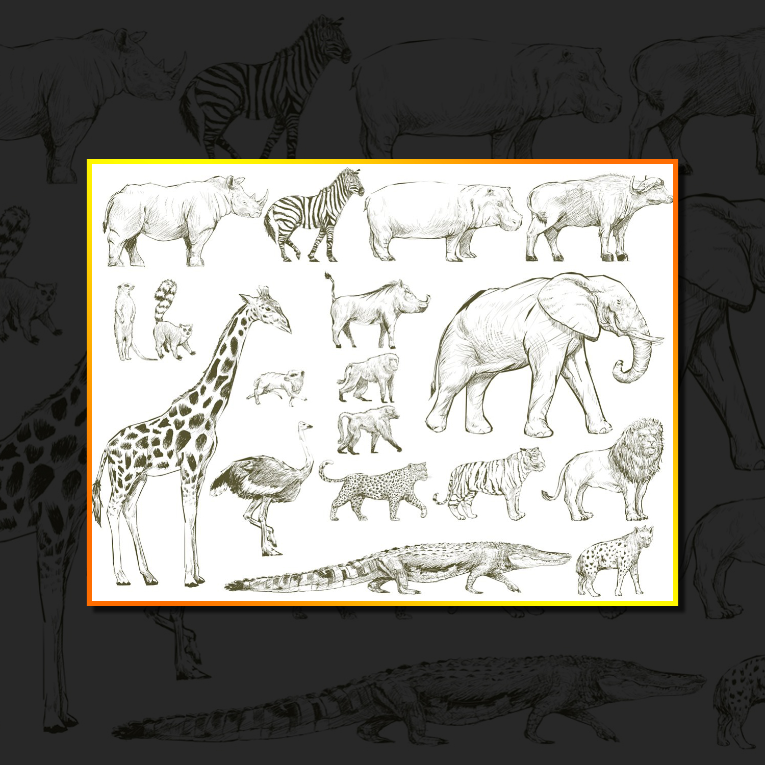 Images with illustration drawing of wildlife.