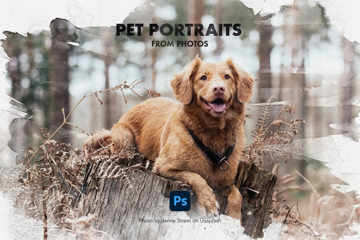 Portraits of pets in a snowy forest.