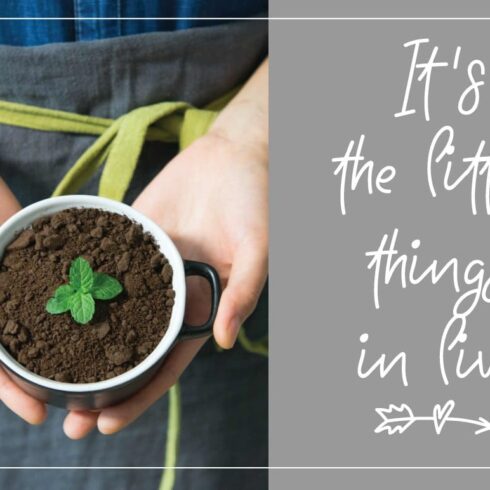 An image of a pot with soil and a plant and the inscription "It's the little things in life".