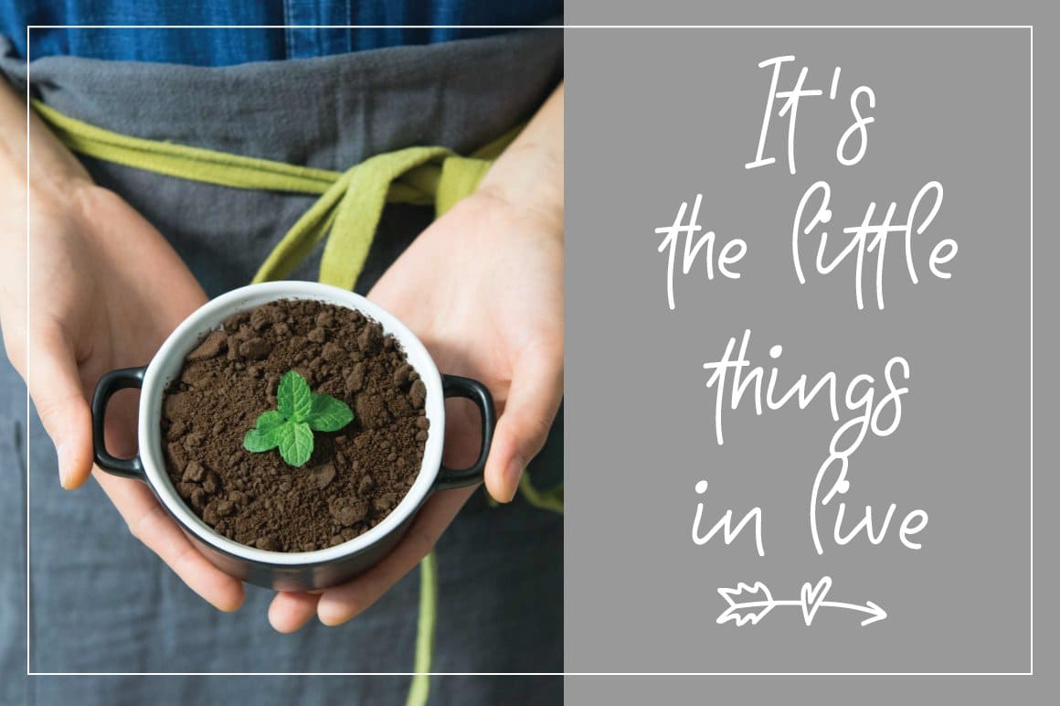 An image of a pot with soil and a plant and the inscription "It's the little things in life".