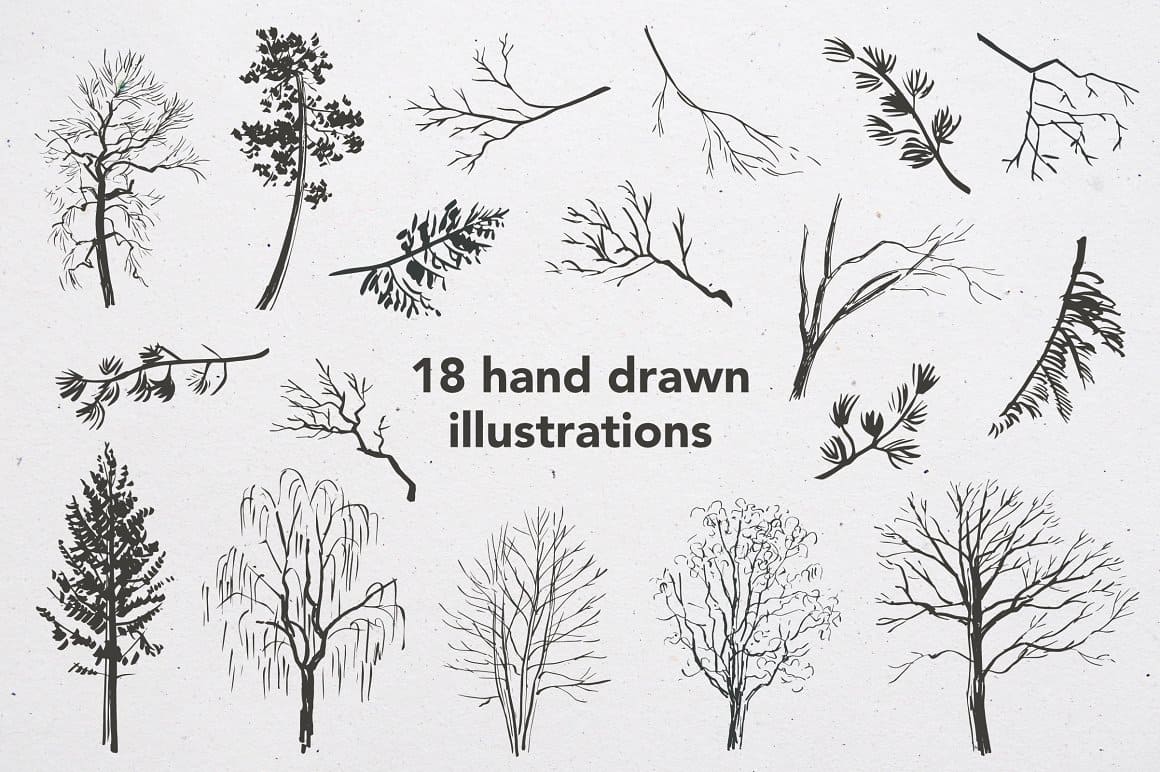 18 hand drawn illustrations of the Trees and Branches Ink Painted.