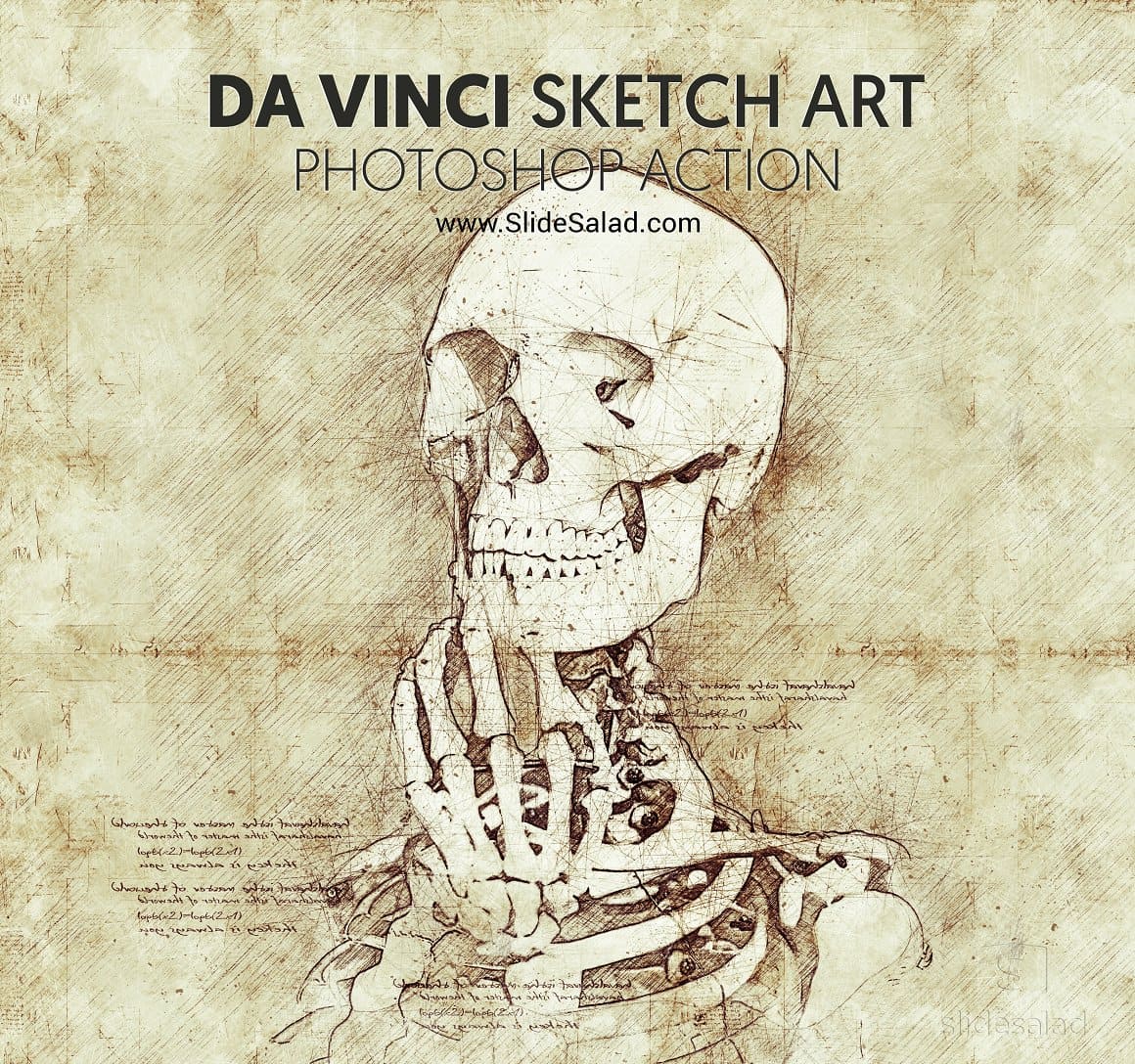 Detailed Skeleton Drawing by Da Vinci Sketch Art Photoshop Action.