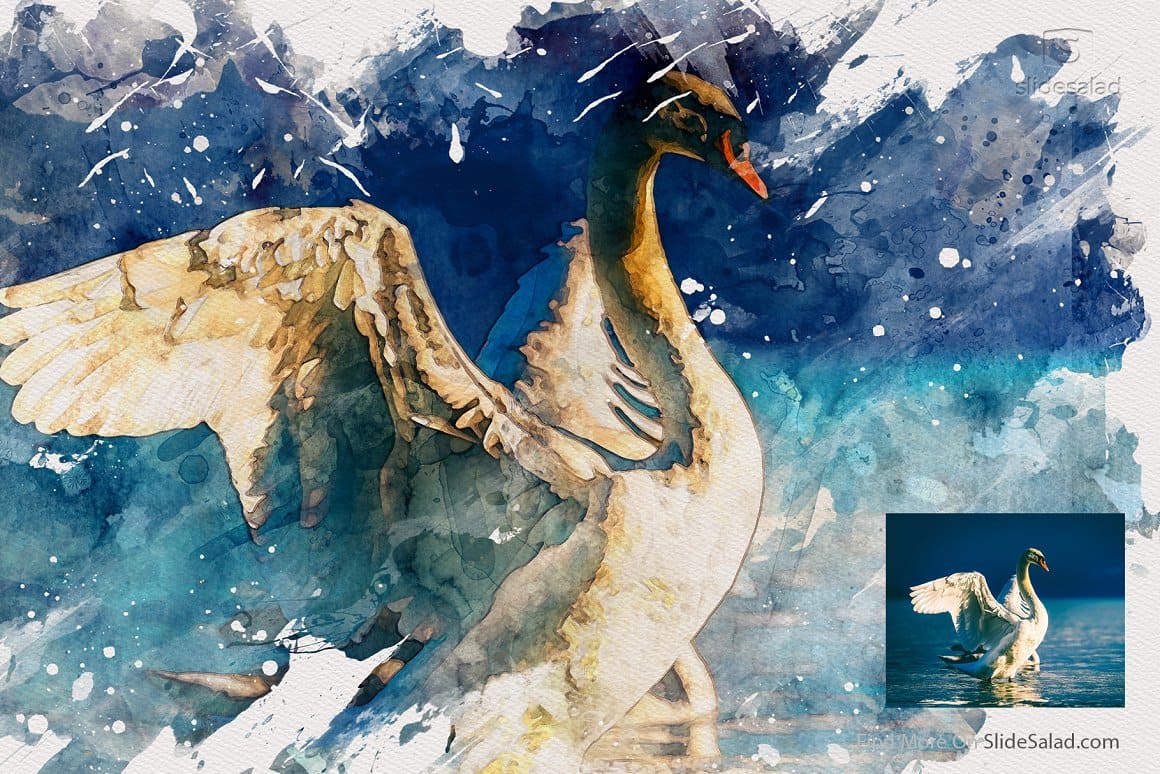 A snow-white swan is painted in watercolor.