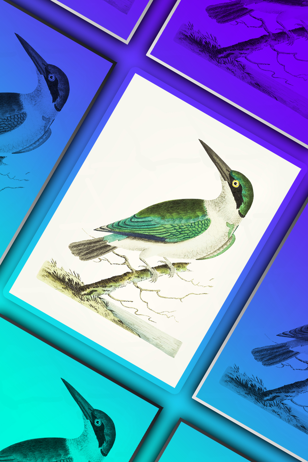 Illustrations drawing of green headed kingfisher of pinterest.
