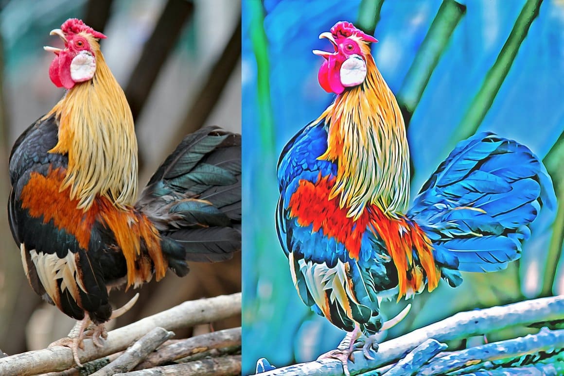 Image of a rooster crowing with the effect of Digital painting Photoshop action.