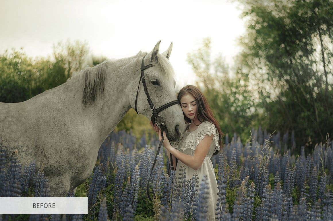 The photo shows a girl hugging a white horse.