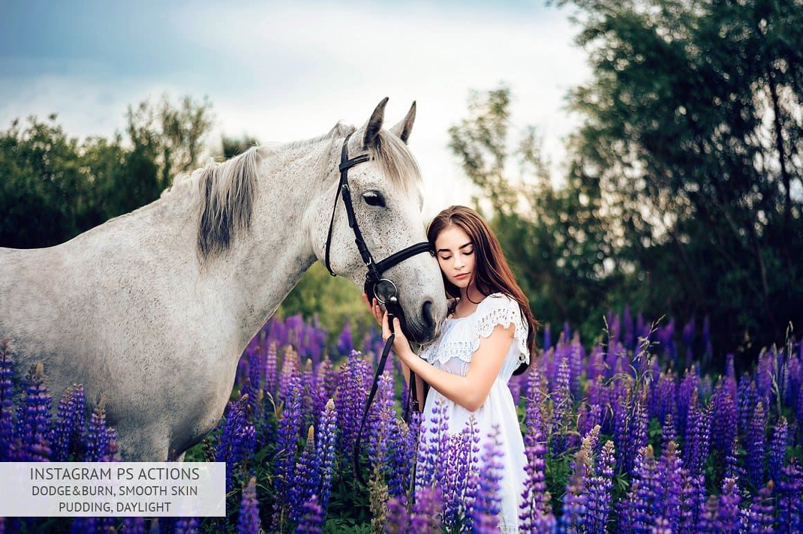 A bright photo with purple flowers, a young girl and a white horse.