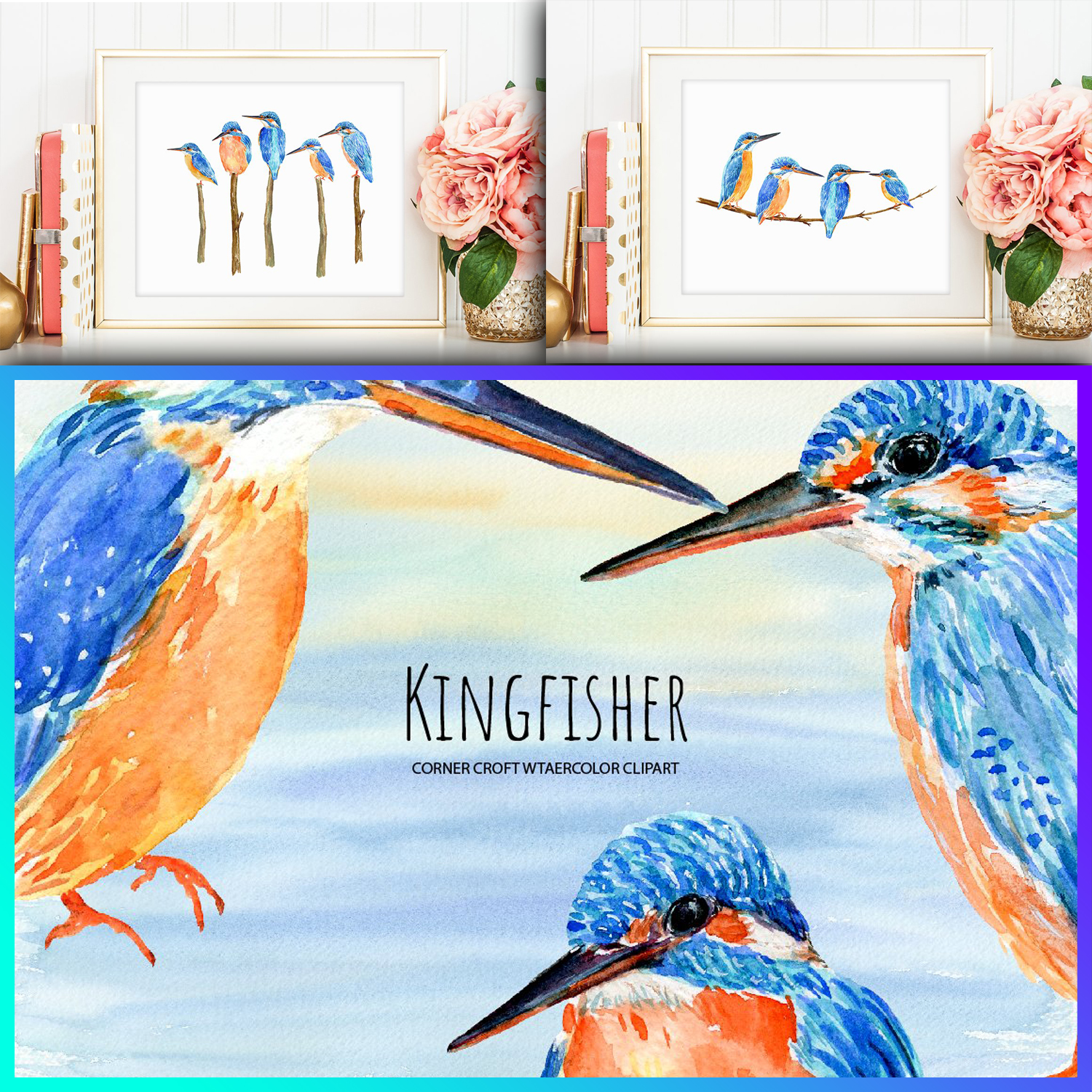 Images with bird kingfisher illustration.