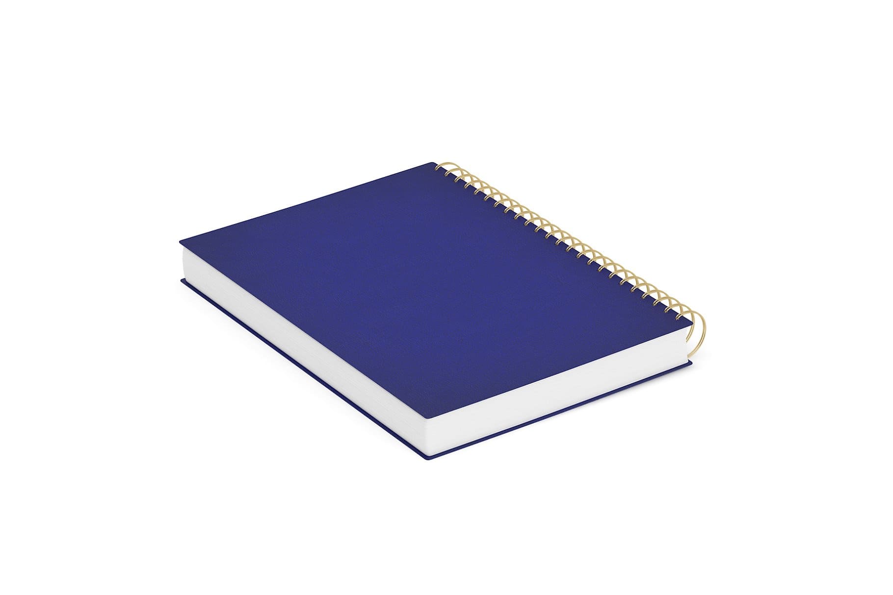 Spring-loaded notebook with blue binding.