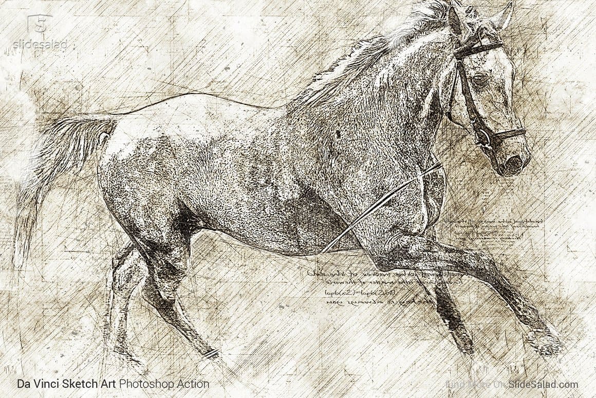 An image of a horse drawn with a simple pencil like a da Vinci drawing.