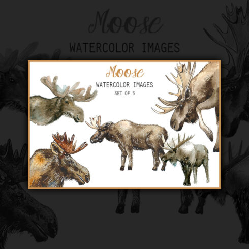 Image with watercolor moose clipart.