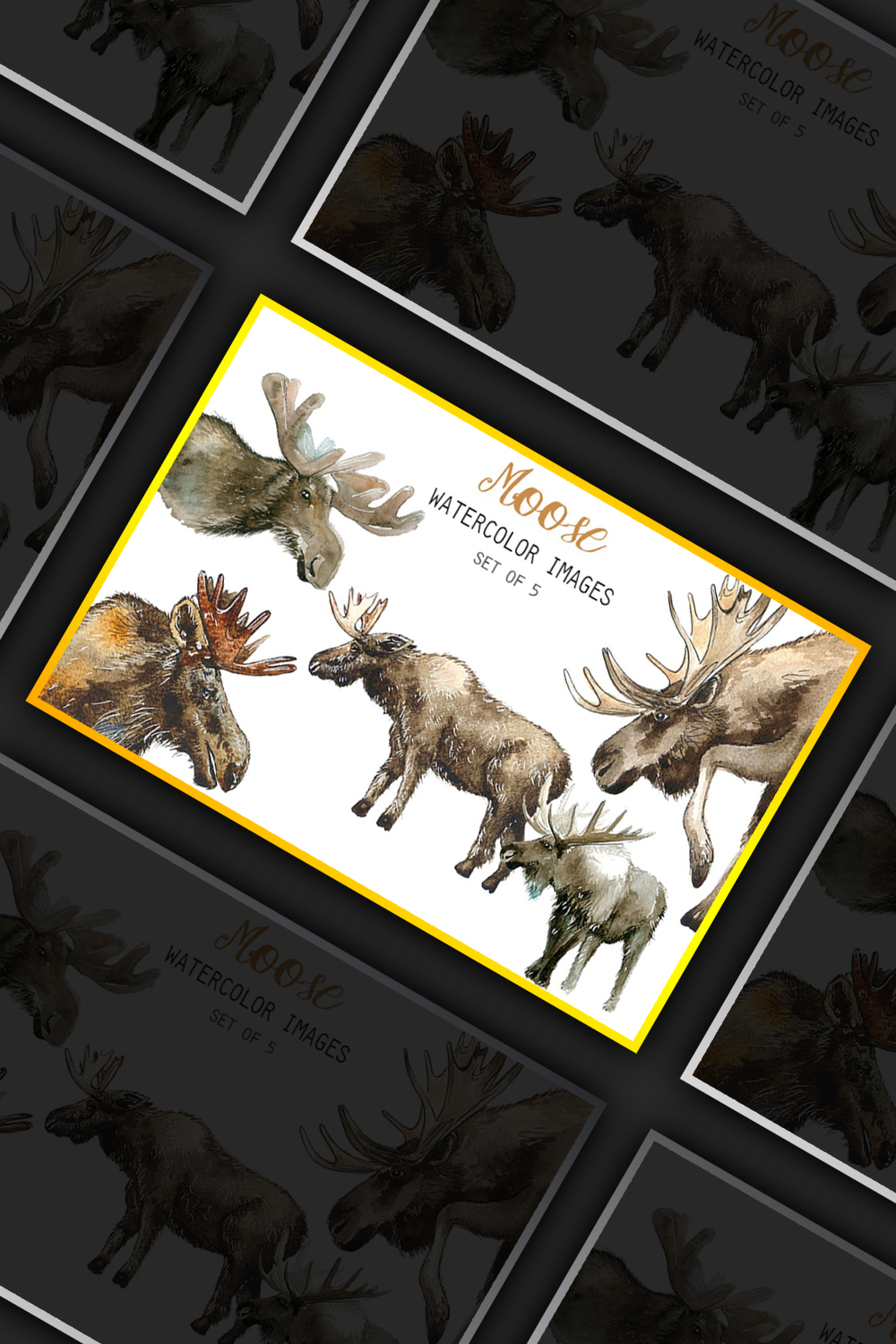 Illustrations watercolor moose clipart of pinterest.
