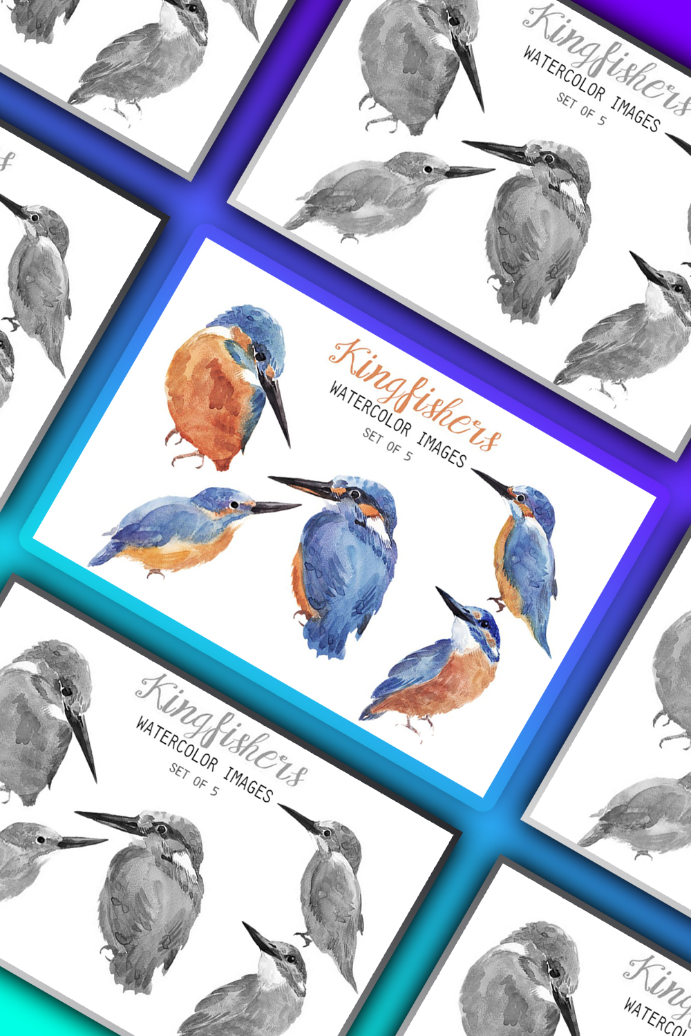 Illustrations watercolor kingfisher clipart of pinterest.