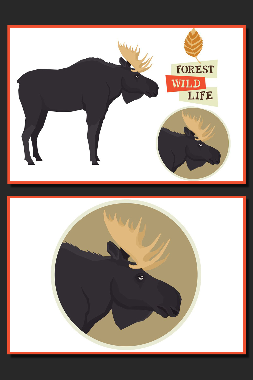 Illustrations moose forest wildlife set of pinterest.