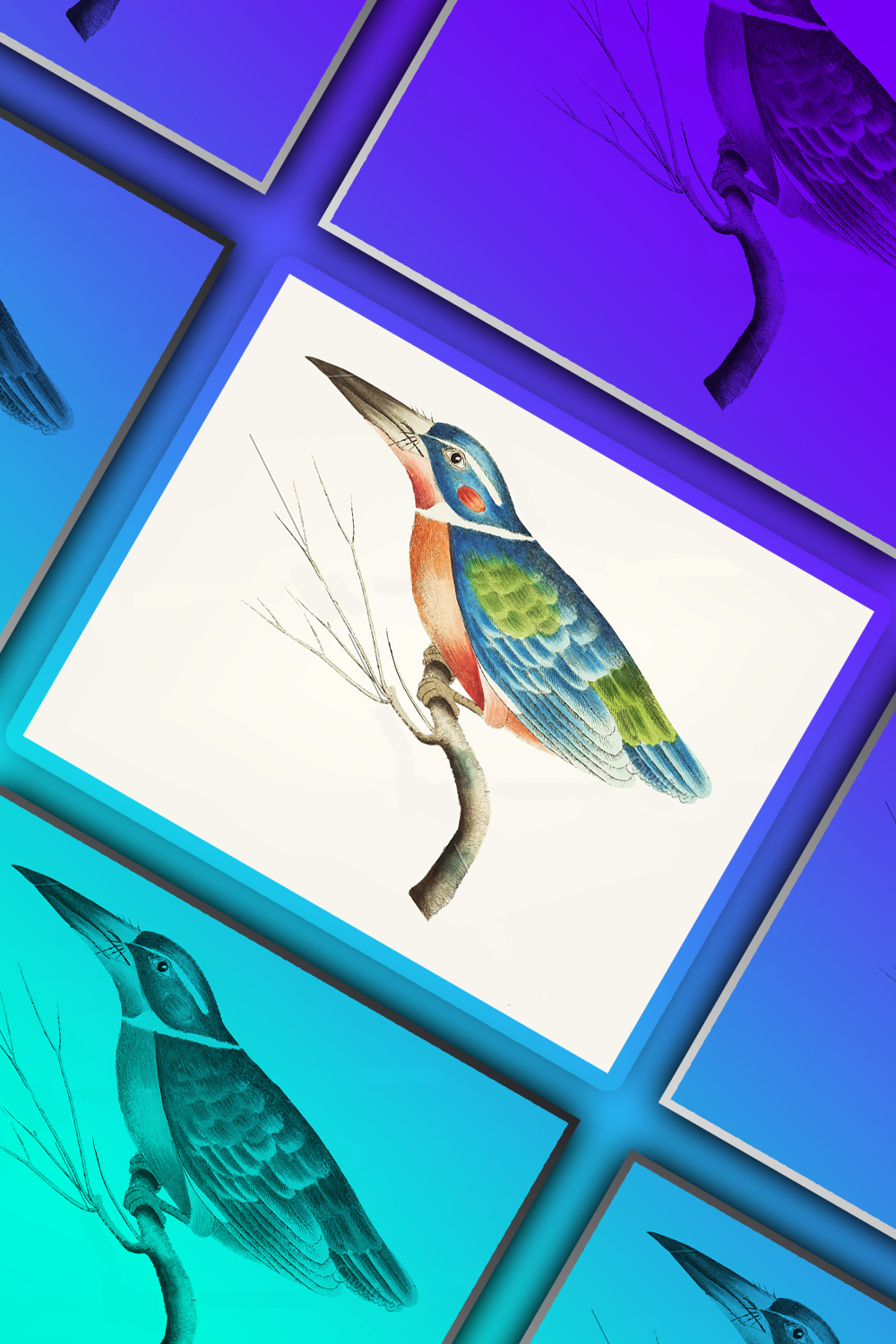 Illustration of blue kingfisher of pinterest.
