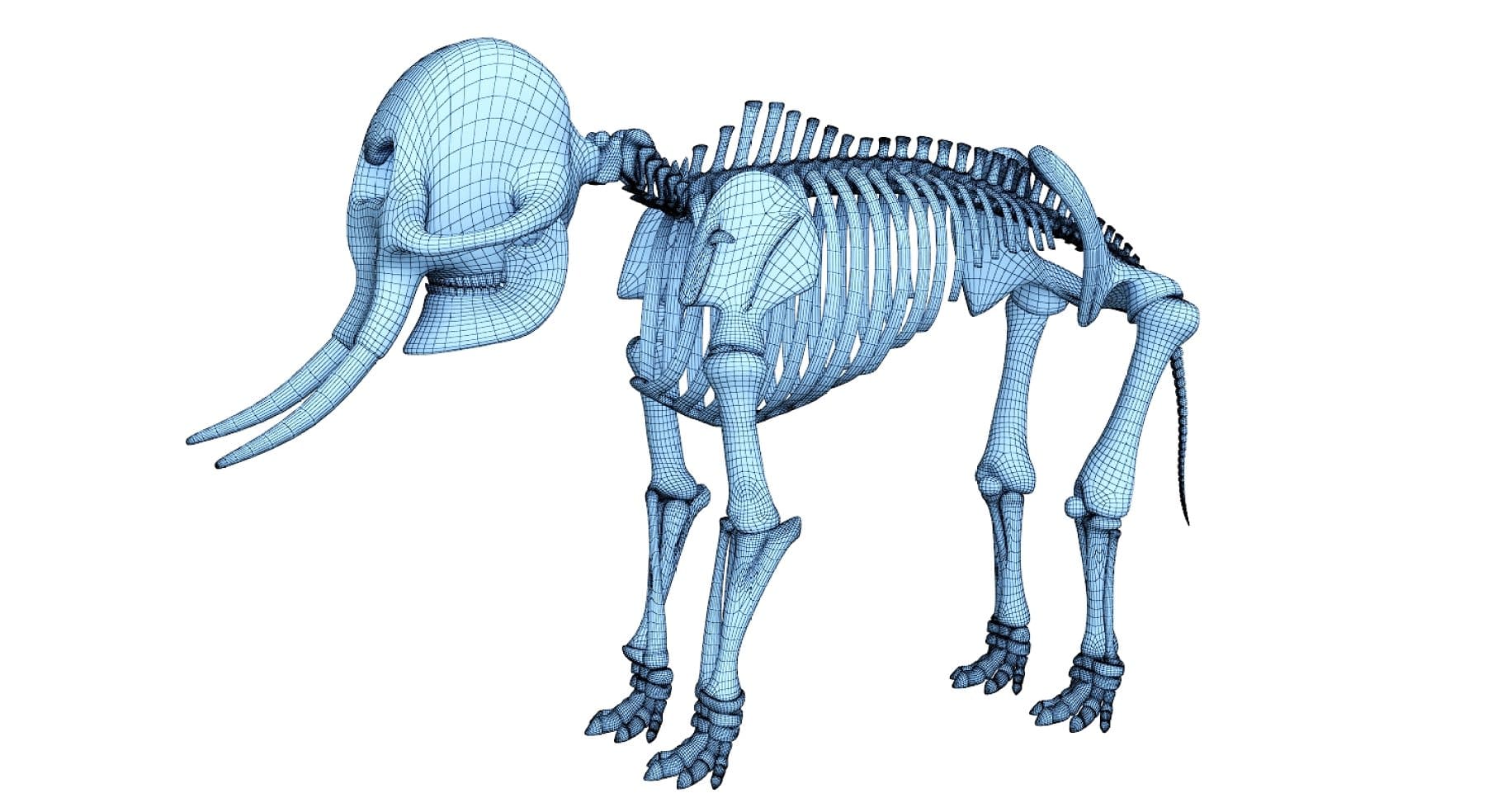 Image of a 3D model of an elephant consisting of small squares.