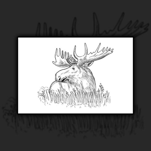 Images with moose or common european elk drawing.
