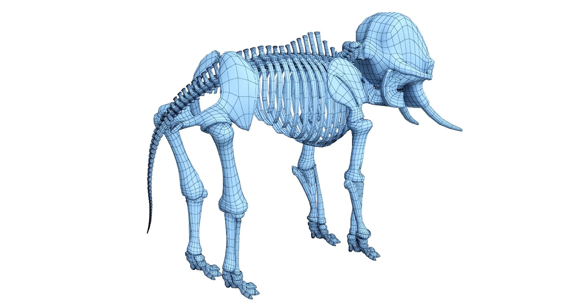 Image of a 3D model of the back of an elephant in blue.