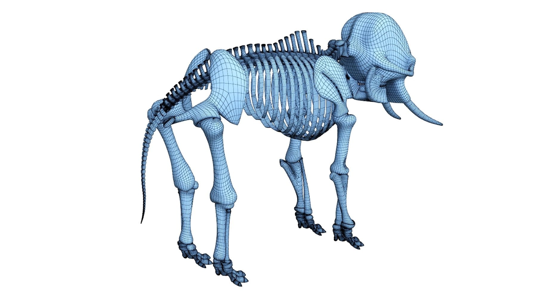 Dark blue 3D model of an elephant.