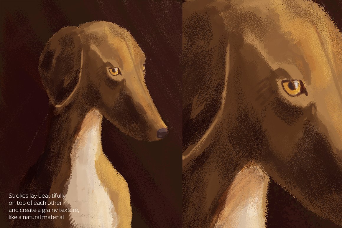 A dog with a long face.