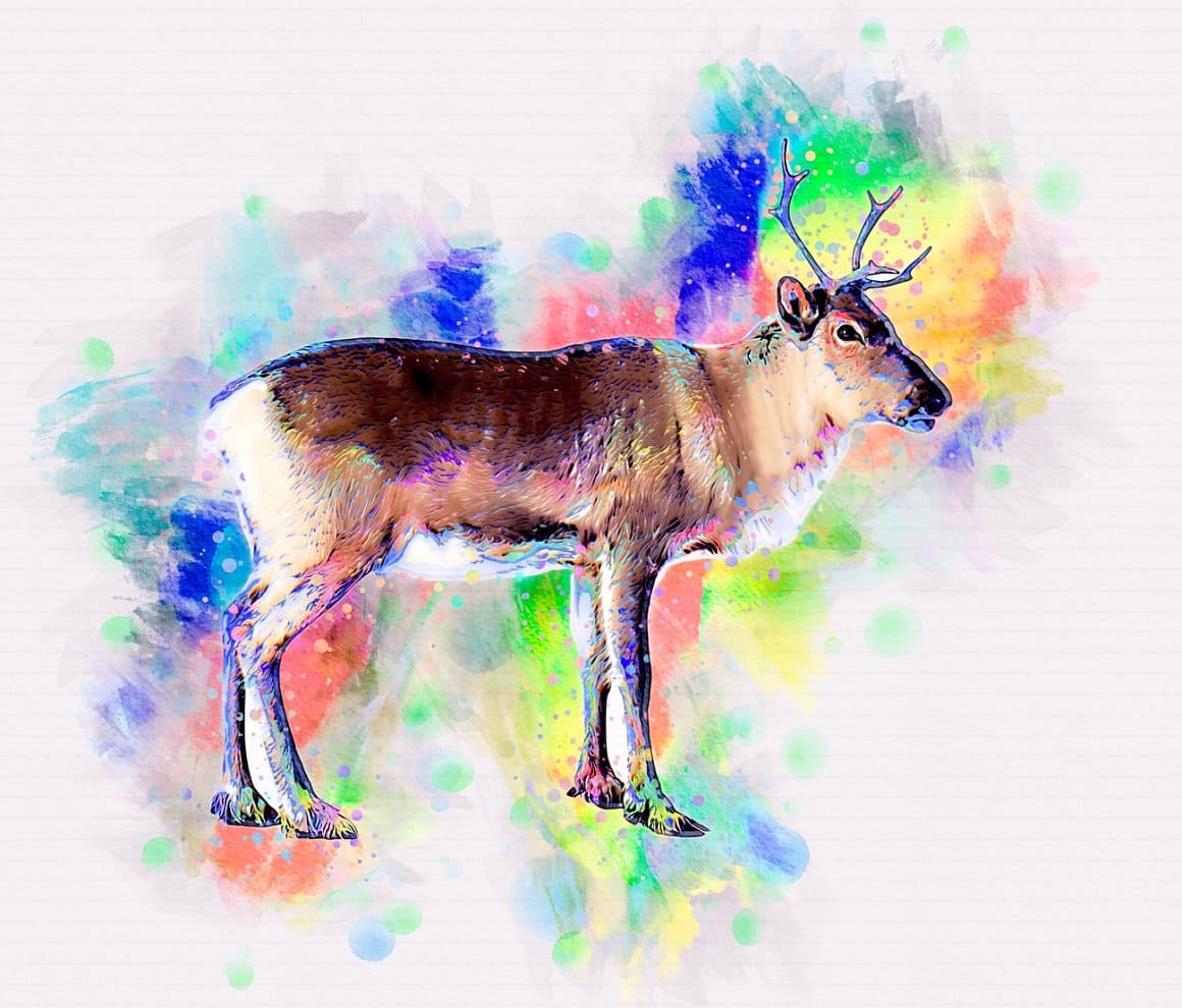 Deer image with Pet Watercolor Art Plugin design.