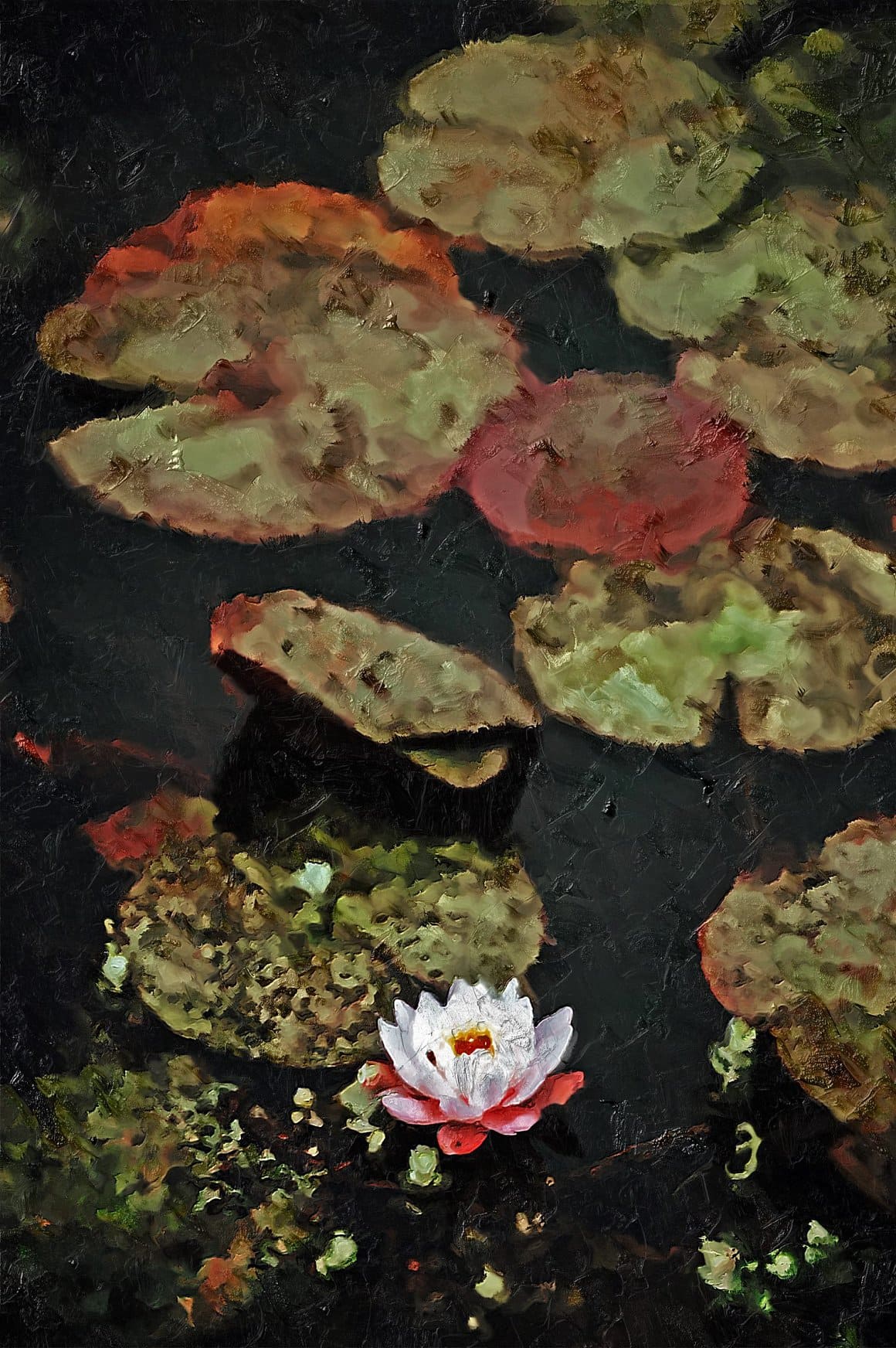 Image of water lily and huge leaves with Palette Knife Photoshop Action.