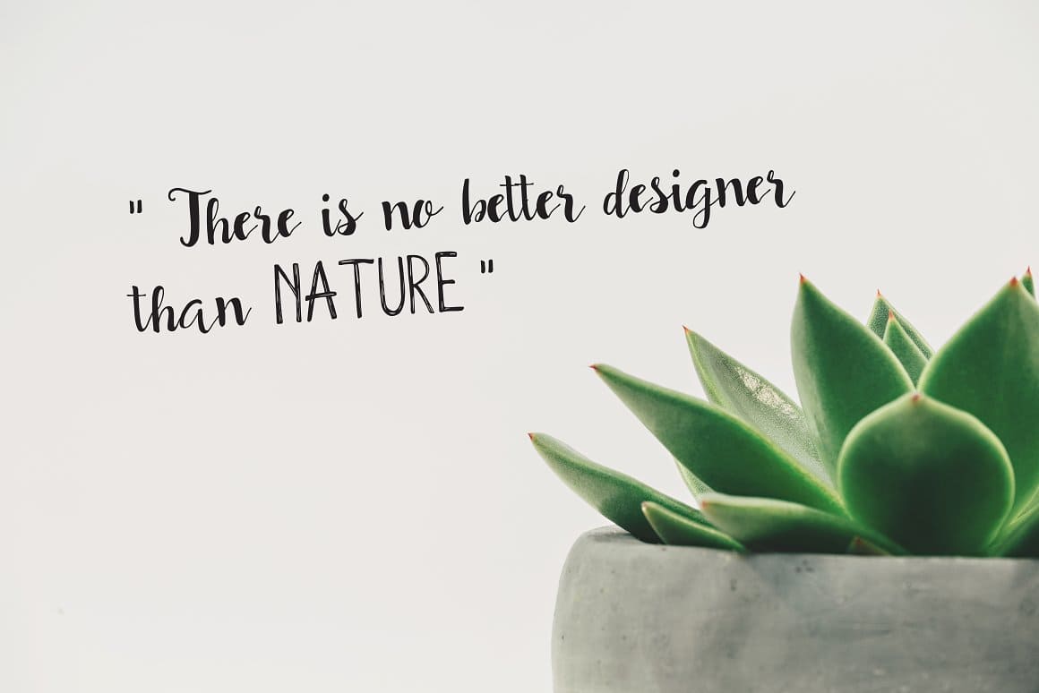 A white background on which a flower in a pot is drawn and the inscription "There is no better designer than Nature".