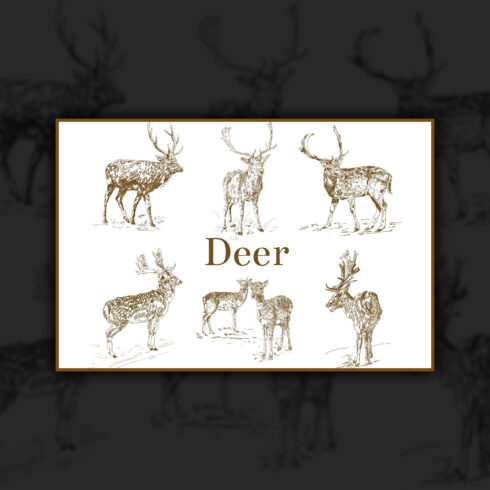 Images with christmas deer animals sketches.