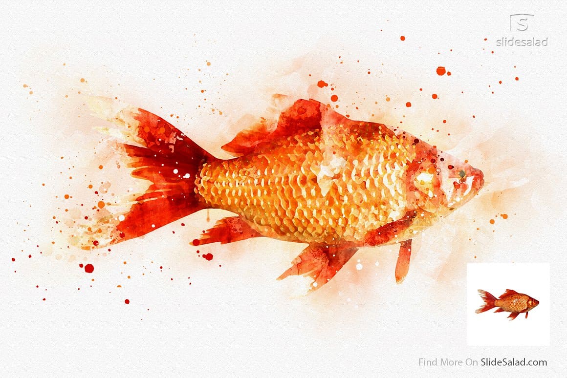 Goldfish painted with watercolors.