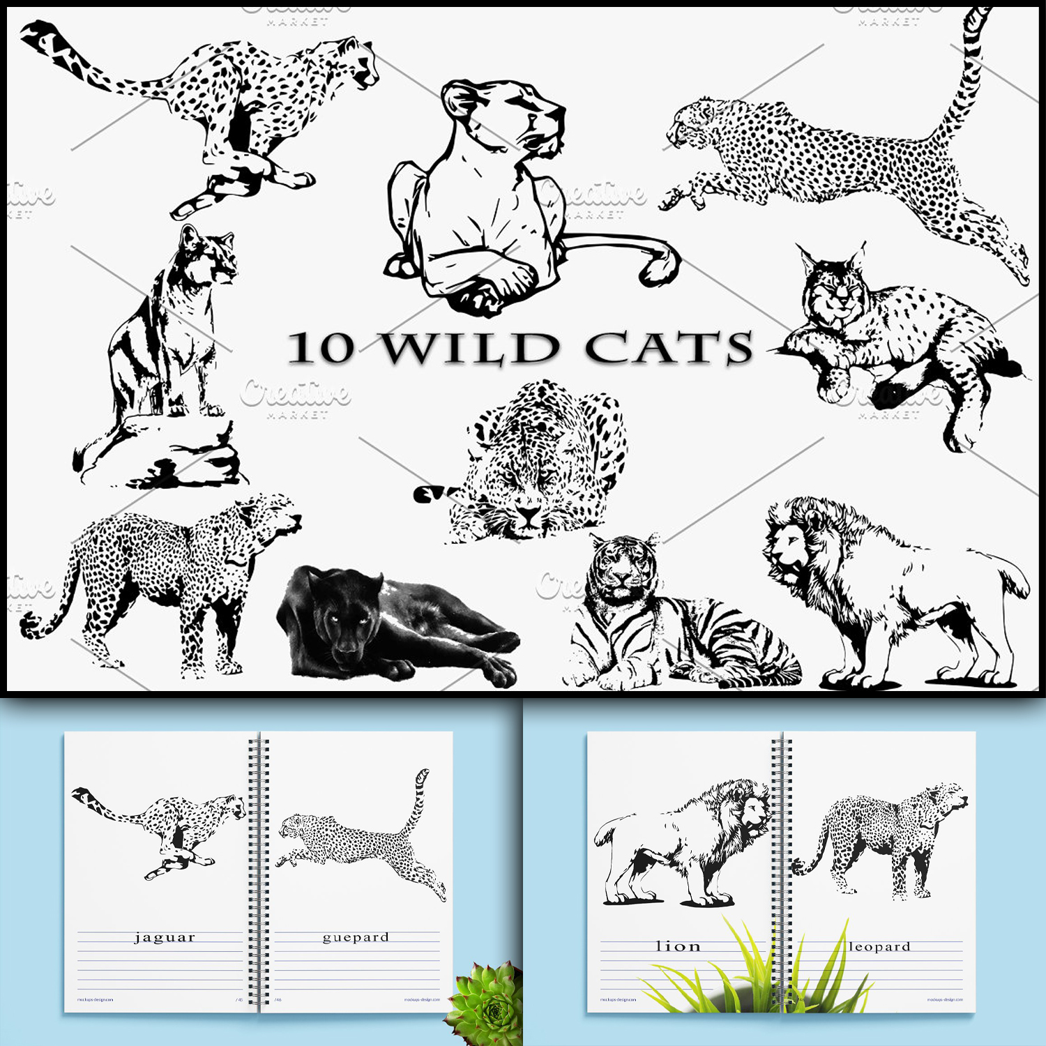 Images with wild cat family. vector illustration.